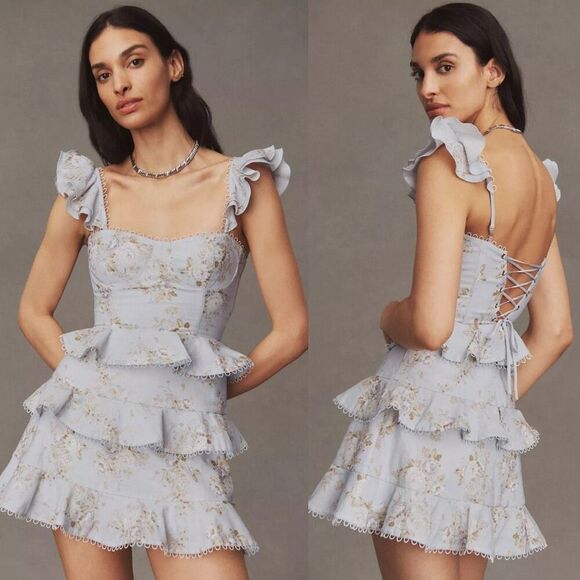 NEW V. Chapman Avignon‎ Ruffled Corset Mini Dress in Victorian Blue Roses Size 8 - Picture 1 of 12